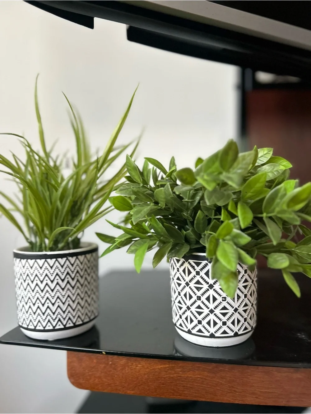 Black and White Patterned Ceramic faux plants  - Set of 2
